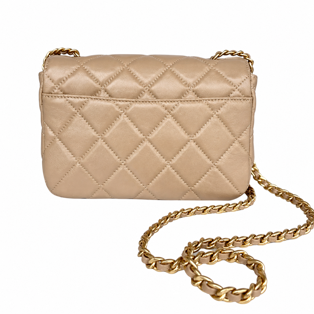 Chanel WOC Chain Wallet Crossbody Bag 20×8×11cm