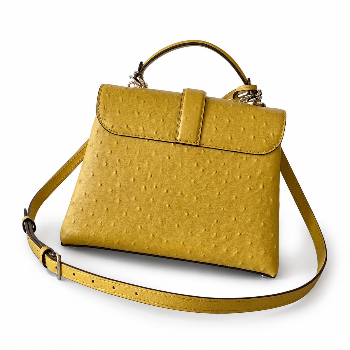 Louis Vuitton Monogram Prestige Flap Crossbody