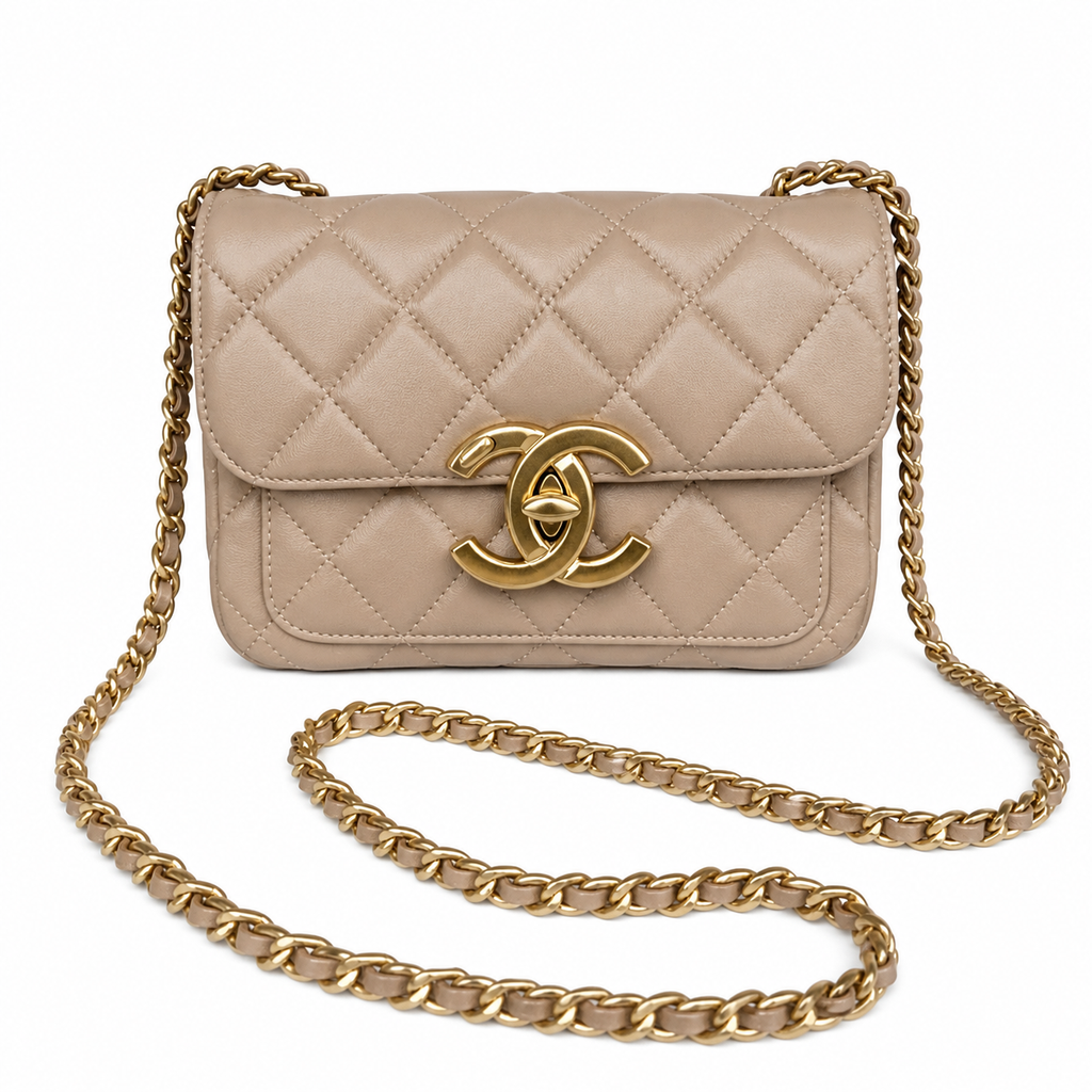 Chanel WOC Chain Wallet Crossbody Bag 20×8×11cm