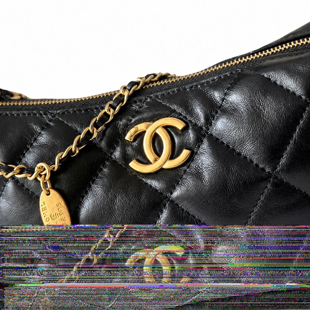 Chanel Wallet on Chain – 17×26×8.5cm | Quilted Leather Crossbody Bag