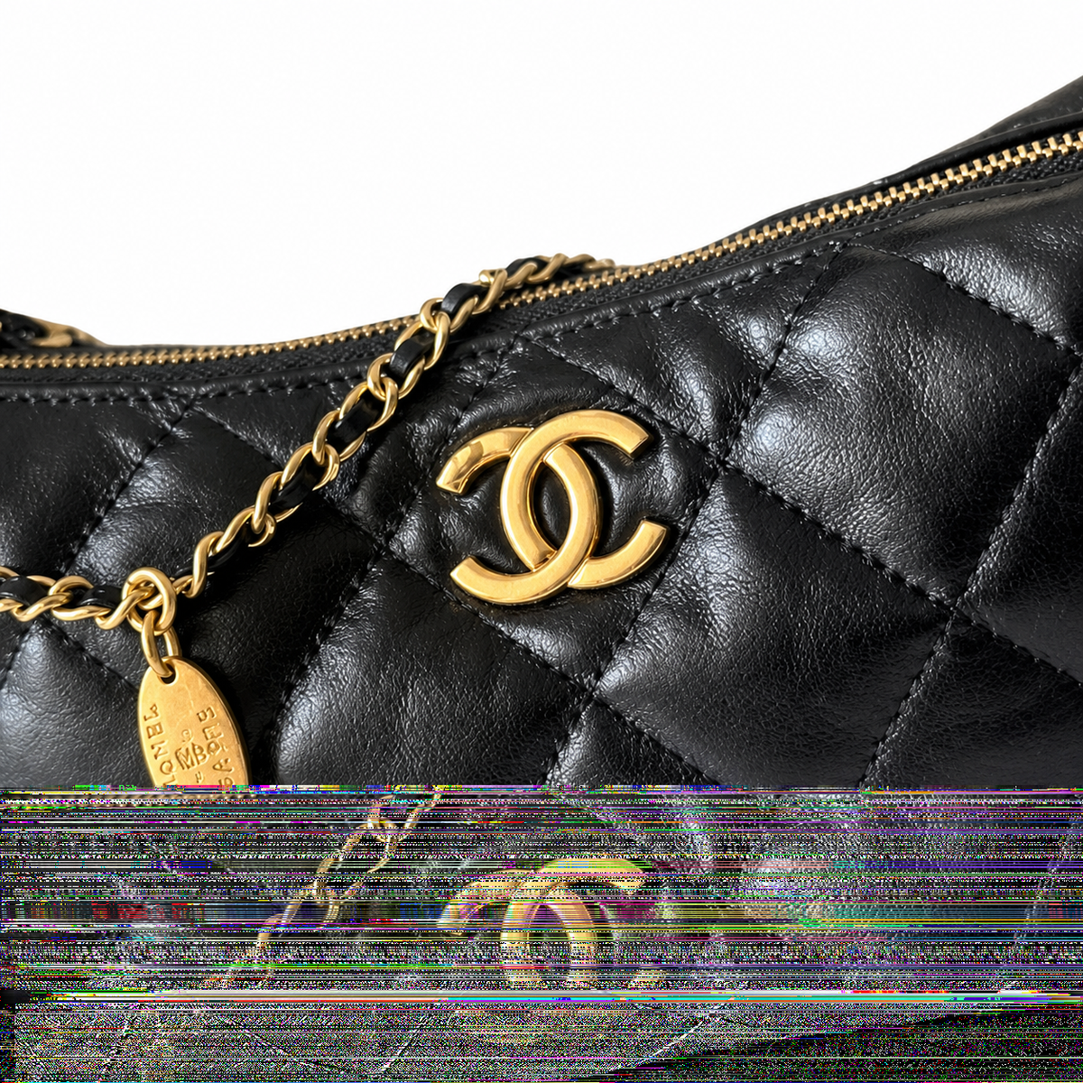 Chanel Wallet on Chain – 17×26×8.5cm | Quilted Leather Crossbody Bag
